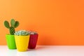 Various cactus plants in different pots on bright background. Minimal composition Royalty Free Stock Photo