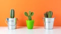 Various cactus plants in different pots on bright background. Minimal composition Royalty Free Stock Photo