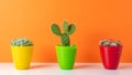 Various cactus plants in different pots on bright background. Minimal composition Royalty Free Stock Photo