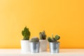 various cactus plants in different pots. Potted cactus house plants on white shelf against pastel mustard colored wall. Royalty Free Stock Photo