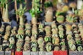 Various cactus in pots Royalty Free Stock Photo