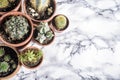 Various cactus and succulent plant in clay pot and gardening tool on luxury marble background from above. Houseplant growing hobby