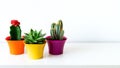 Various cactus and succulent plants in bright colorful flower pots against white wall. House plants on white shelf. Royalty Free Stock Photo