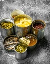 Various canned foods with meat, fish, vegetables and fruits in tin cans. Royalty Free Stock Photo