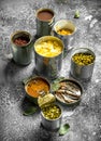 Various canned foods with meat, fish, vegetables and fruits in tin cans. Royalty Free Stock Photo