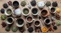 Various ceramic cups filled with different Royalty Free Stock Photo