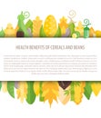 Vector Banner with Health Benefits of Cereals and Beans
