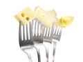 Various Cheese on Forks - White Background Isolated