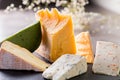 Various cheeses on a plate. Royalty Free Stock Photo