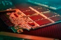 various chips, digital boards. Components of technical devices in creative lighting. Processor, RAM and other parts Royalty Free Stock Photo