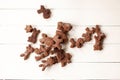 Various chocolate cookies in animal shape on table