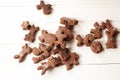 Various chocolate cookies in animal shape on table