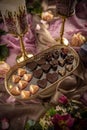 Various chocolate pralines Royalty Free Stock Photo