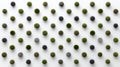 Various Circular Texture Patterns of Green and Black Moss Arrangement on a White Background Royalty Free Stock Photo