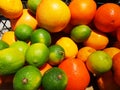 Various citrus in the basket