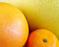 closeup of citrus fruit Royalty Free Stock Photo