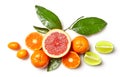 Various citrus fruits