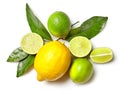 Various citrus fruits on white background