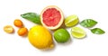 Various citrus fruits on white background