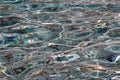 Various coins under water from the fountain as an offering Royalty Free Stock Photo