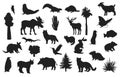 Various Collection Of Different Type Birds and Animal Silhouettes Royalty Free Stock Photo