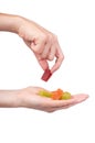 Various color of fruity gummy jelly candies in hand isolated on white background