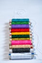 Various color thread spools of sewing machine and a needle, vertically placed against a white background Royalty Free Stock Photo