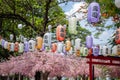 Various colored Japanese lanterns that decorate the cherry blossoms in rows. Royalty Free Stock Photo