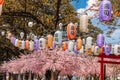 Various colored Japanese lanterns that decorate the cherry blossoms in rows. Royalty Free Stock Photo