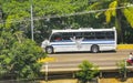 Various colorful buses bus in Puerto Escondido Mexico