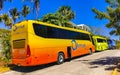 Various colorful buses tour bus transport in Puerto Escondido Mexico