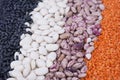 Various colorful dried legumes beans, Royalty Free Stock Photo