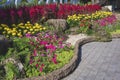 Various colorful flowers with green plants in decorative garden on pavement floor in public park area Royalty Free Stock Photo