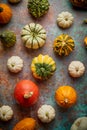 Various colorful mini pumpkins placed on rusty background