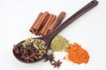 Various colorful spice