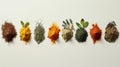 Various colorful spices in a row on a white background, an array of vibrant natural ingredients