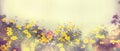 Various colorful spring flowers in sunlight, blur, banner web site, border