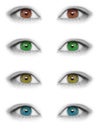 Various colors eyes isolated on white background