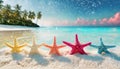 various colors of purple, yellow, white, orange, red blue and light yellow starfish Royalty Free Stock Photo