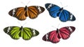 Various coloured butterflies illustrated with oil paint effect isolated on white background