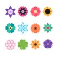 Various Coloured Flowers And Petals
