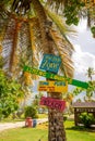 Various colourful beach signs on the palm tree in the beach