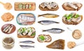 Various cooked and raw herring fishes isolate