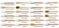 Various cooking enhancers in spoon with names