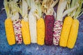 Various drying corn cobs on dark background top view flat lay Royalty Free Stock Photo