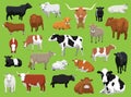 Various Cow Bull Cattle Poses Vector Illustration