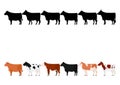 Various cows in a row Royalty Free Stock Photo