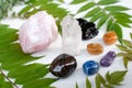 Various crystals or raw gemstone minerals with wild flowers.