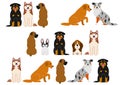 Cute dogs border set Royalty Free Stock Photo