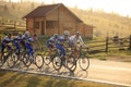 Various cyclists from different teams at Paltinis, Romania Royalty Free Stock Photo
